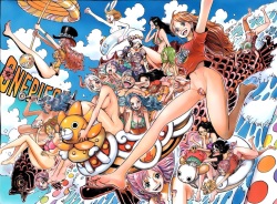 One piece 15