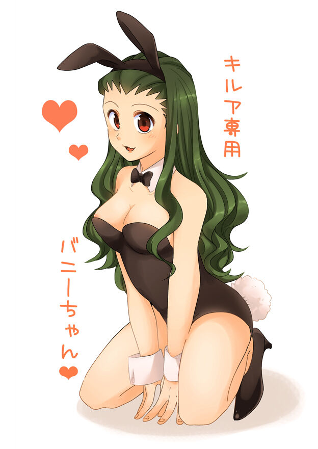 Hunter X Hunter GS Gallery page 7 full