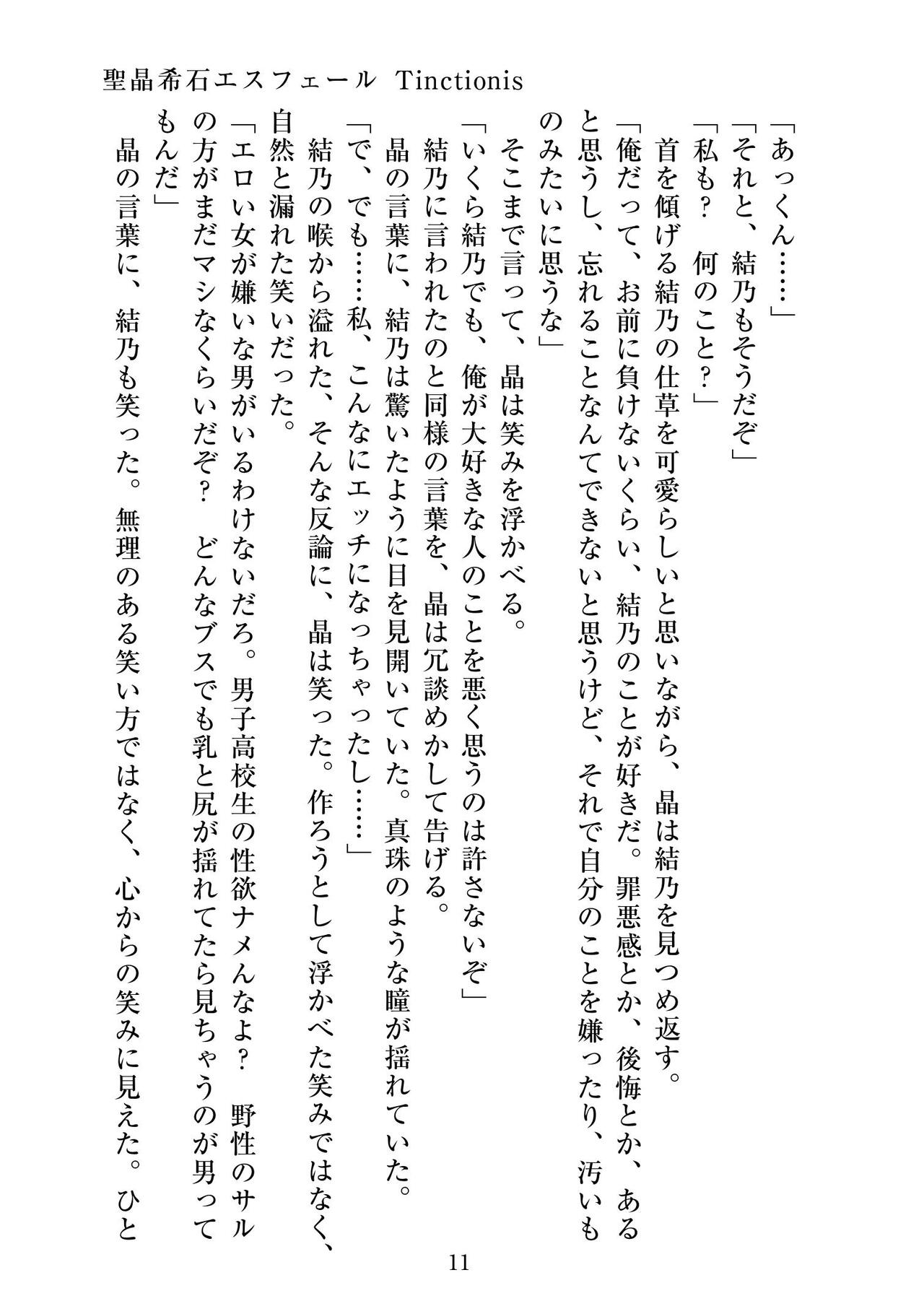 聖晶希石エスフェール Tinctionis page 12 full